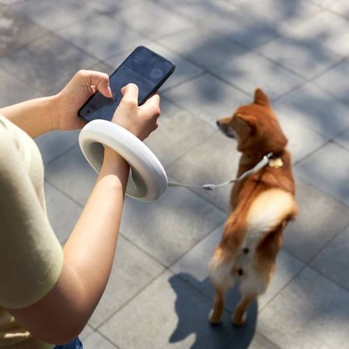 LED Dog Leash Ring | Hands - Free Retractable Leash with Built - in Light - The Lovely Spot