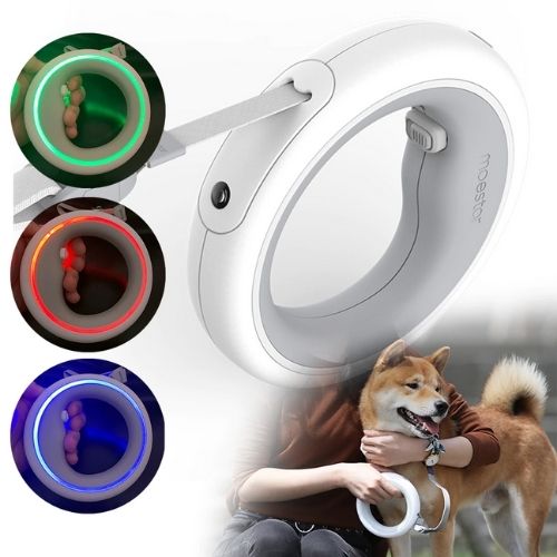 LED Dog Leash Ring | Hands - Free Retractable Leash with Built - in Light - The Lovely Spot