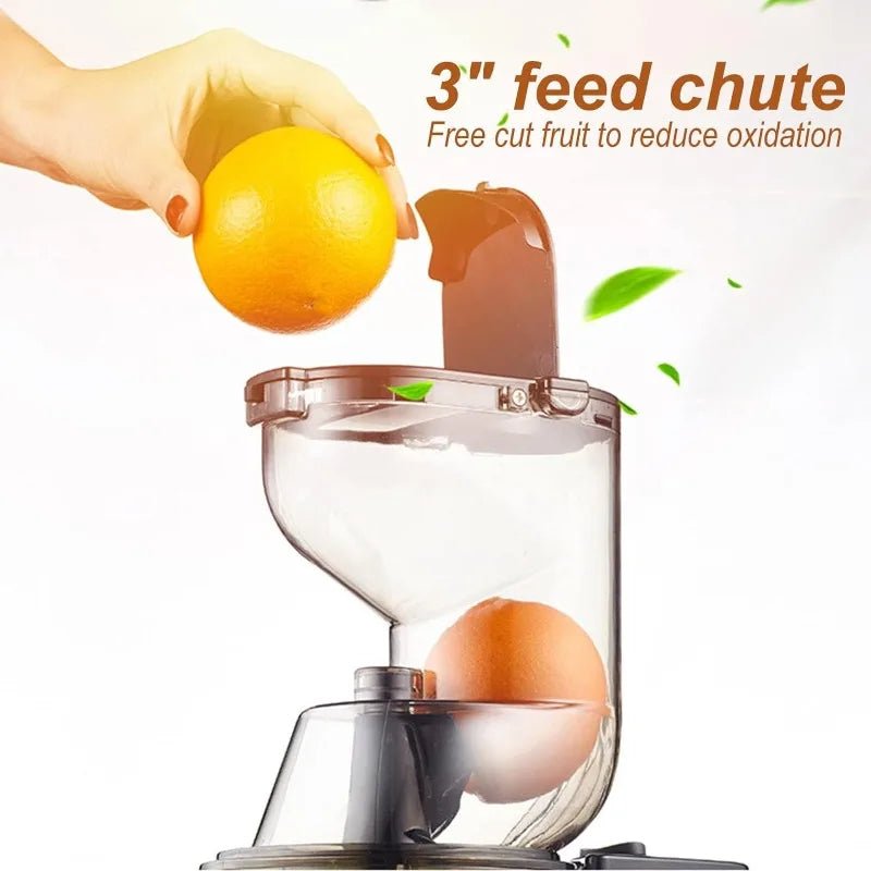 Premium Cold Press Masticating Juicer Machine – High - Yield, Slow Press, BPA - Free - The Lovely Spot